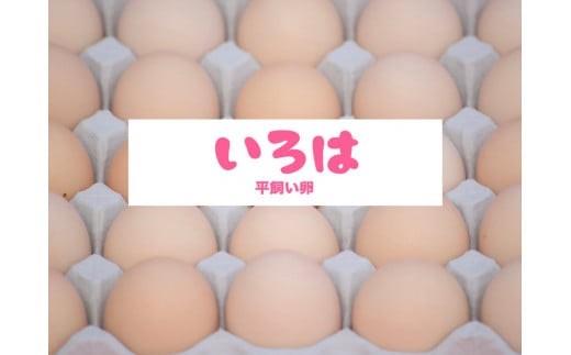 全体的に甘みとコクのある黄身が特徴 ワタナベファームの優等生な末っ子【平飼い卵いろは】 【単品】| 12,000円