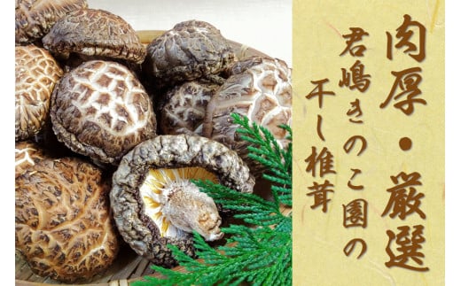 肉厚・厳選！原木育ちの上どんこ260g｜栃木県 矢板市 しいたけ 椎茸 産地直送  