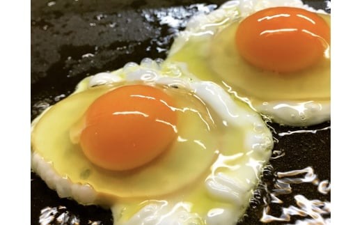 【定期便6回】[平飼い卵食べ比べ] 平飼い有精卵あかり・平飼い卵いろは 各15個 合計30個 (毎月お届け） 【定期6回】| 70,000円