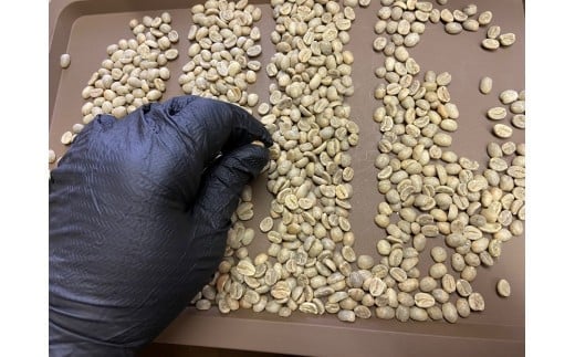 [やいたブランド認証品] 自家焙煎珈琲豆 YAITA BLEND《TSUTSUJI》(シティロースト) 100g×3袋【粉でお届け】｜SAKURA黒猫堂 珈琲 焙煎 コーヒー豆 矢板市 やいたブランド 【粉でお届け】