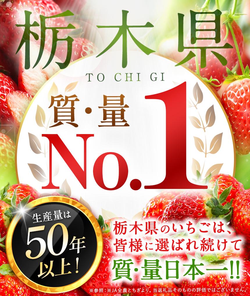 厳選とちあいか 1.5kg以上| いちご とちあいか 大粒 新鮮 甘い 数量 限定 美味しい 果物 共通返礼品 フルーツ デザート 栃木県 送料無料 厳選とちあいか 1.5kg