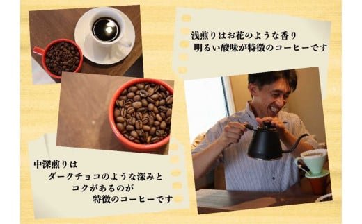 [注文後に焙煎] 自家焙煎コーヒードリップバッグ中深、浅煎り 30個飲み比べ｜珈琲 焙煎 ドリップコーヒー 