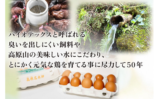 【定期便12回】高原名水 卵 60個｜豊かな自然で育ったアスタキサンチン含有の高原名水卵【感動の甘さと濃さ】栃木県 矢板市 【12回】60個 | 126000円