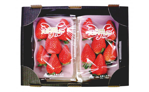 [先行予約][2026年12月中旬より順次発送予定・いちご研究所が17年費やした] スカイベリー600g｜いちご イチゴ 苺 フルーツ 果物 産地直送 栃木県産 矢板市産 先行予約 栃木県 矢板市