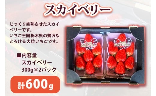 [2026年1月より順次発送予定]朝採りスカイベリー 600g (300g×2パック)｜いちご イチゴ 苺 フルーツ 果物 産地直送 矢板市産 栃木県産 先行予約