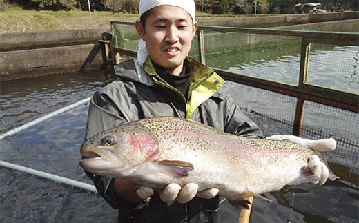 栃木県のブランド魚「プレミアムヤシオマス」丸1尾 新鮮 活け締め｜鮮魚 鱒 国産 産地直送  [0355]