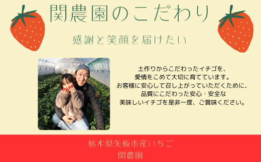 とちおとめ 1120g [2025年12月初旬より順次発送予定] 朝獲れ新鮮 秘密にしたい美味しさ｜いちご イチゴ 苺 フルーツ 果物 産地直送 先行予約 栃木県産 