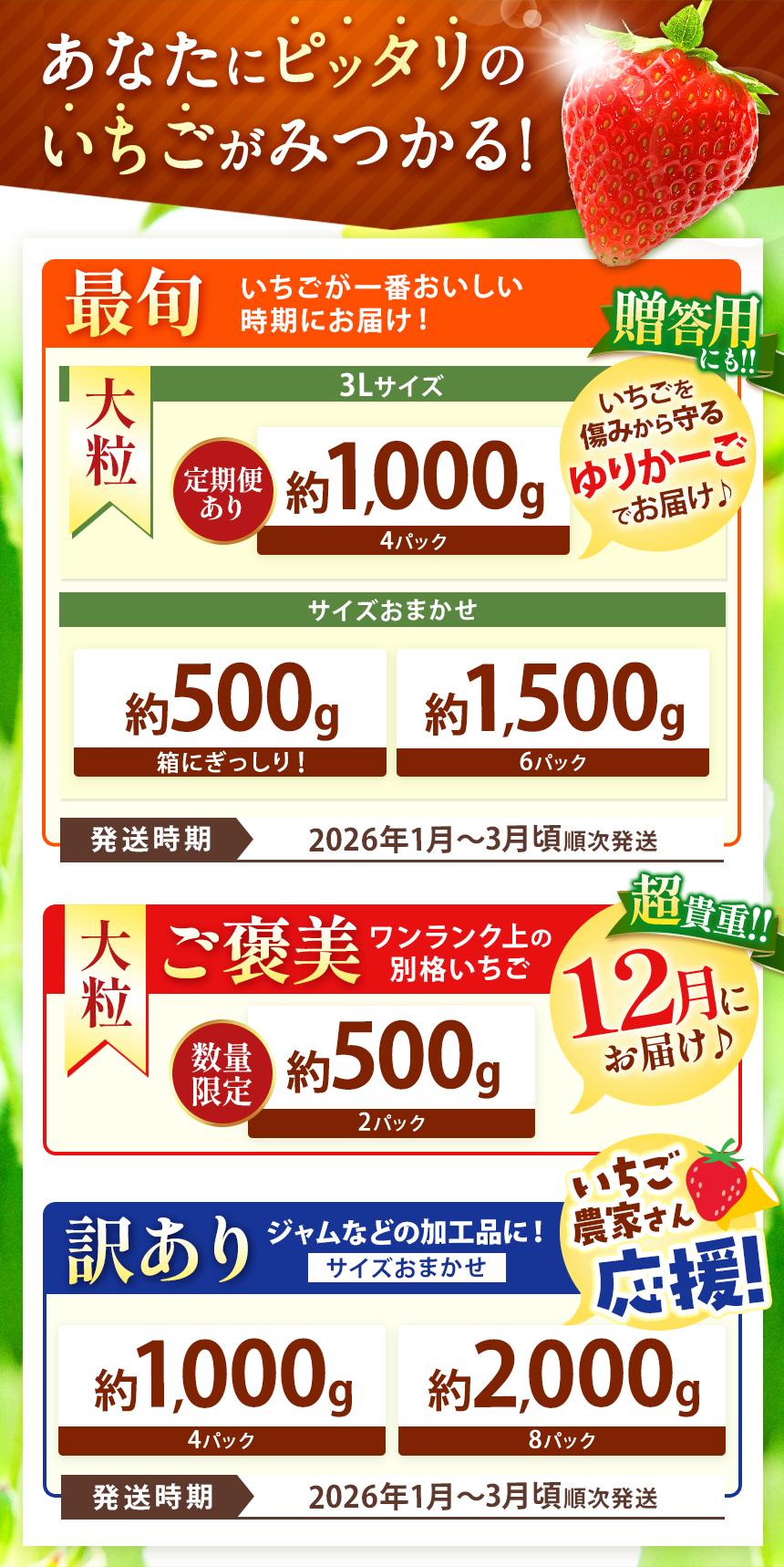 【訳あり】不揃いとちあいか2kg以上| 訳あり訳あり いちご とちあいか 大粒 新鮮 甘い 数量 限定 美味しい 果物 共通返礼品 フルーツ デザート 栃木県 送料無料 【訳あり】 不揃いとちあいか2kg