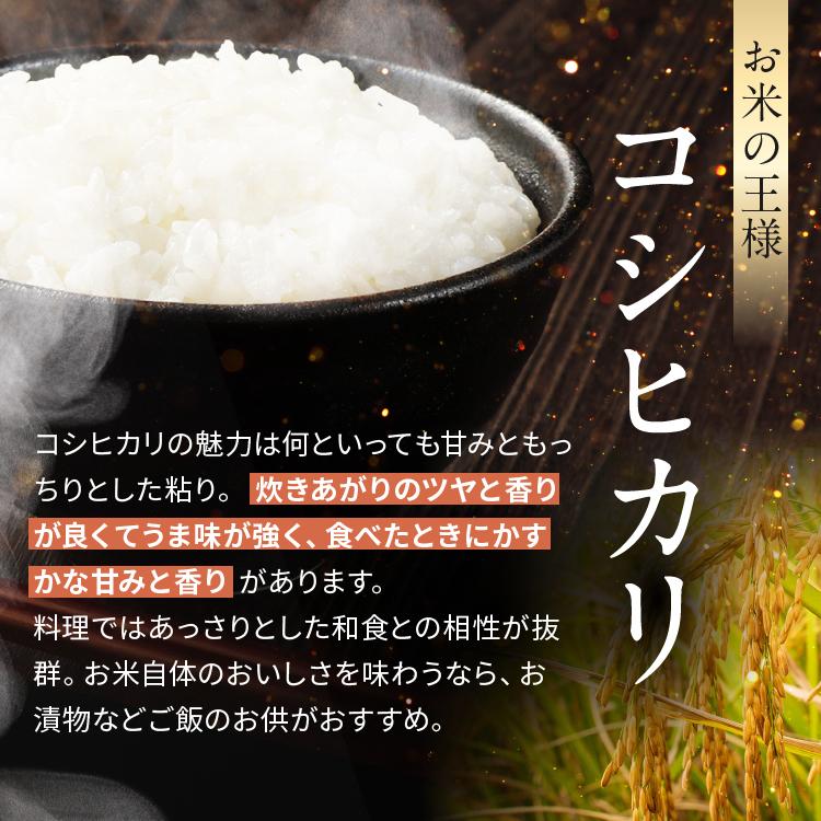 栃木県産コシヒカリ白米 10kg【栃木県共通返礼品】 10kg | 19,500円