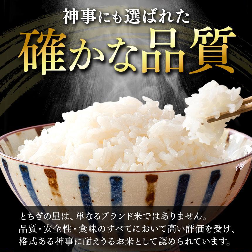 パックごはん とちぎの星 栃木県矢板市産 お米 100％ 150g×20個