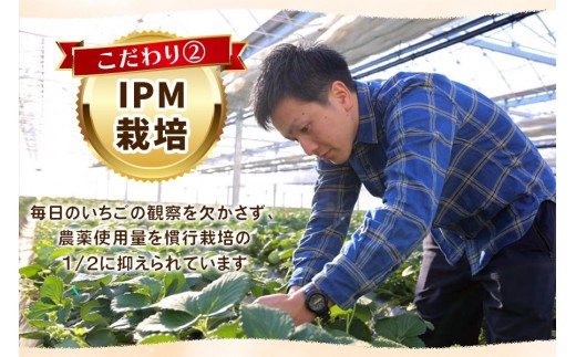 いちごの贅沢！栃木の3品種食べ比べセット 1,920g (960g×2) 《12月中旬～4月の期間で発送》 澳原いちご農園 | いちご 苺 イチゴ フルーツ 果物 産地直送 栃木県産 【12～4月の期間で発送】1,920g  