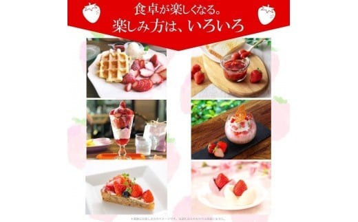 [期間限定] 鮮度抜群とちあいか 290g×6P 先行予約【栃木県共通返礼品】｜栃木県産 矢板市産 フルーツ スイーツ デザート 果物 果実 産地直送 栃木県 矢板市 約290g×6P | 14,000円