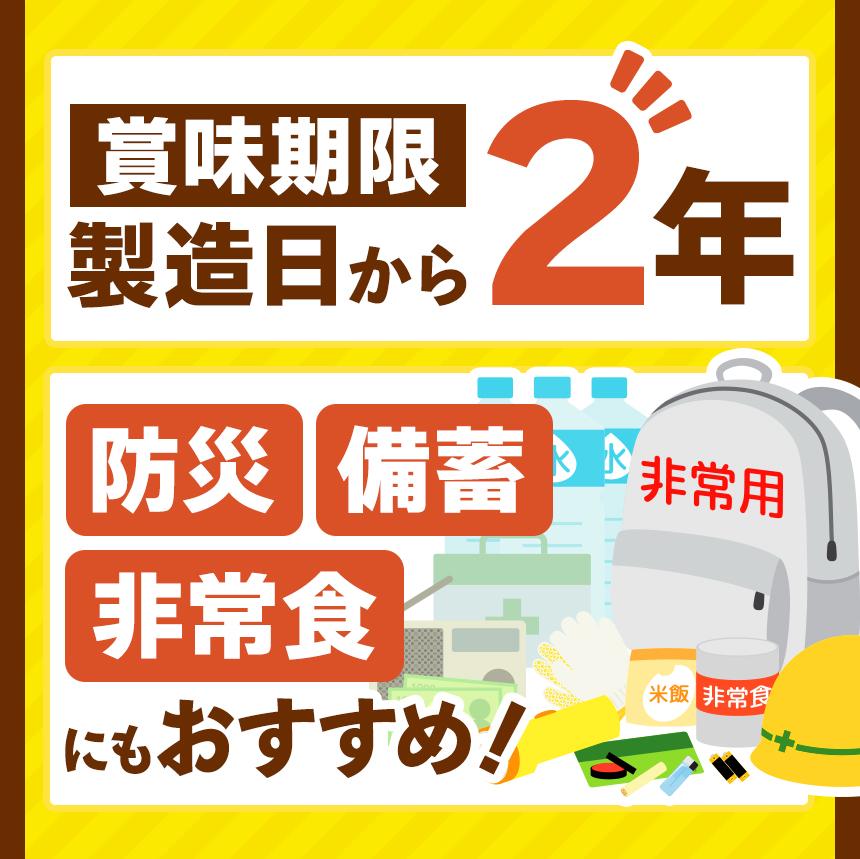 【定期便3回】一番人気！ココイチ カレー Bセット（ビーフ・ポーク各5個 定番） (毎月お届け）｜カレー CoCo壱番屋 常温保存 非常食 簡単 時短 自宅用 キャンプ  ふるさと納税  定番Bセット【定期3回】