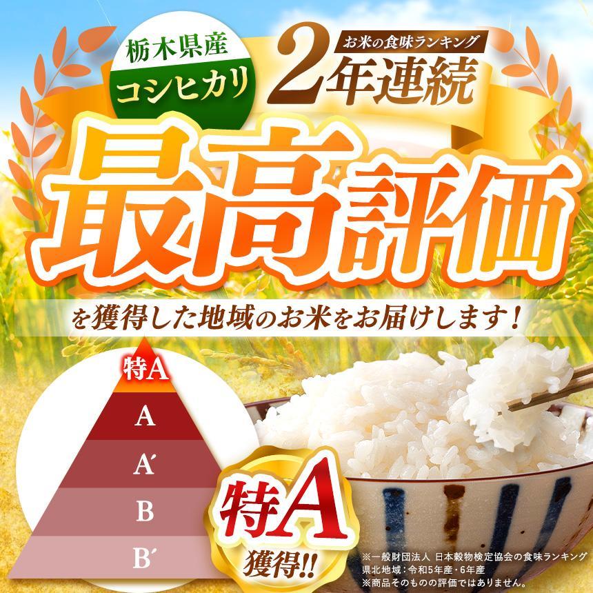 限定 ポークカレー と コシヒカリ の 贅沢セット！ 選べる 定期便 こしひかり 米 お米 個数  | ココイチ レトルトカレー [栃木県共通返礼品] | レトルト カレー  美味しい ココイチ 非常食 簡単 ストック ふるさと納税 栃木県 矢板市 人気 定番 一人暮らし カレー10個＆米 4kg