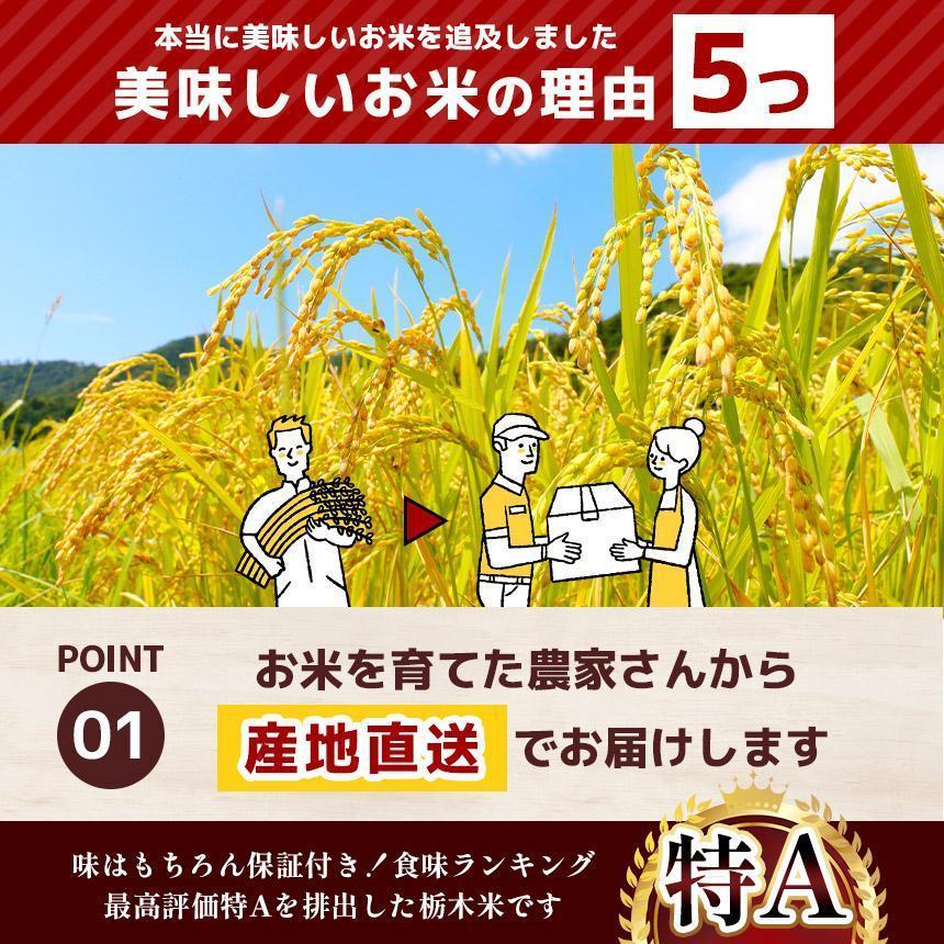 とちぎの星 精米 4kg  | 栃木県 矢板市