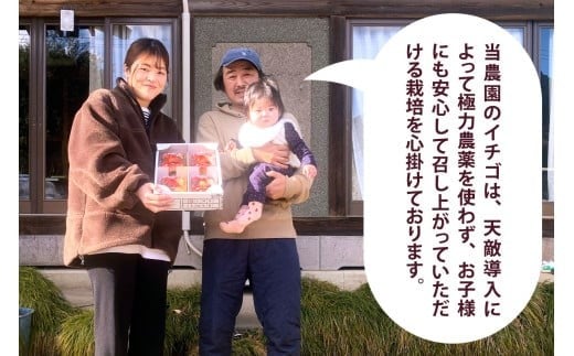 [2026年1月より順次発送予定]朝採りスカイベリー 600g (300g×2パック)｜いちご イチゴ 苺 フルーツ 果物 産地直送 矢板市産 栃木県産 先行予約