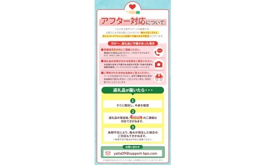 [3月以降発送][期間限定] 栃木県産 いちご とちあいか 12～15粒 × 2P 先行予約 選べる発送月 定期便3回｜栃木県産 矢板市産 フルーツ スイーツ デザート 果物 果実 産地直送 栃木県 矢板市 【3月以降発送】単品 | 14,000円