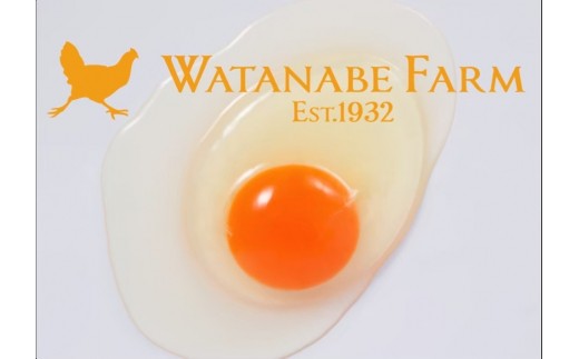 [平飼い有精卵30個] 濃厚な黄身が特徴 ワタナベファームのおてんば長女【平飼い有精卵あかり】 【単品】| 12,000円