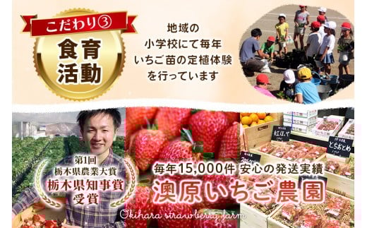 いちごの贅沢！栃木の3品種食べ比べセット 1,920g (960g×2) 《12月中旬～4月の期間で発送》 澳原いちご農園 | いちご 苺 イチゴ フルーツ 果物 産地直送 栃木県産 【12～4月の期間で発送】1,920g  
