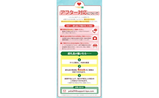 【定期便3回】栃木県産 いちご とちあいか 12～15粒 × 2P 先行予約 選べる発送月 定期便3回 (1月・2月・3月お届け）｜栃木県産 矢板市産 フルーツ スイーツ デザート 果物 果実 産地直送 栃木県 矢板市 【定期3回】| 42,000円