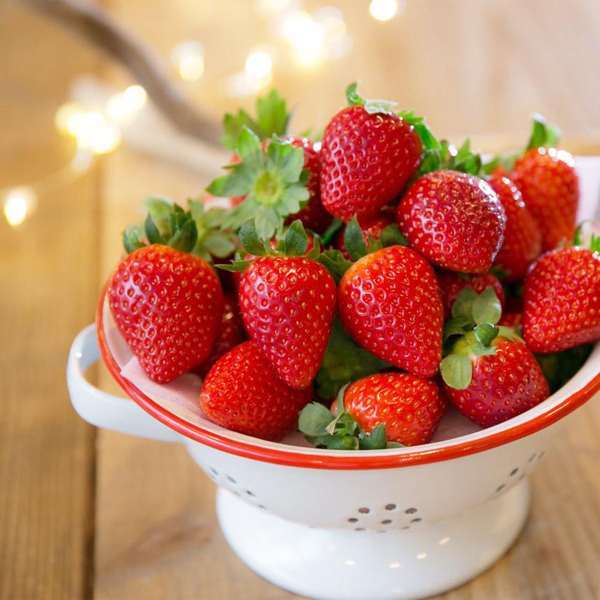 [3月以降発送] [期間限定] 栃木県産 いちご ロイヤルクイーン12～15粒 先行予約 選べる発送月｜栃木県産 矢板市産 フルーツ スイーツ デザート 果物 果実 産地直送 栃木県 矢板市  【3月以降発送】単品 |  14,000円