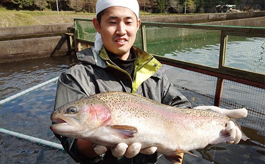 産地直送栃木県のブランド魚「プレミアムヤシオマス」の切身セット 味噌漬、塩麹漬、刺身(生食用) | 国産 産地直送  [ 冷凍便 ] | 魚 ます 養殖 産地直送 栃木県 【単品】20,000円