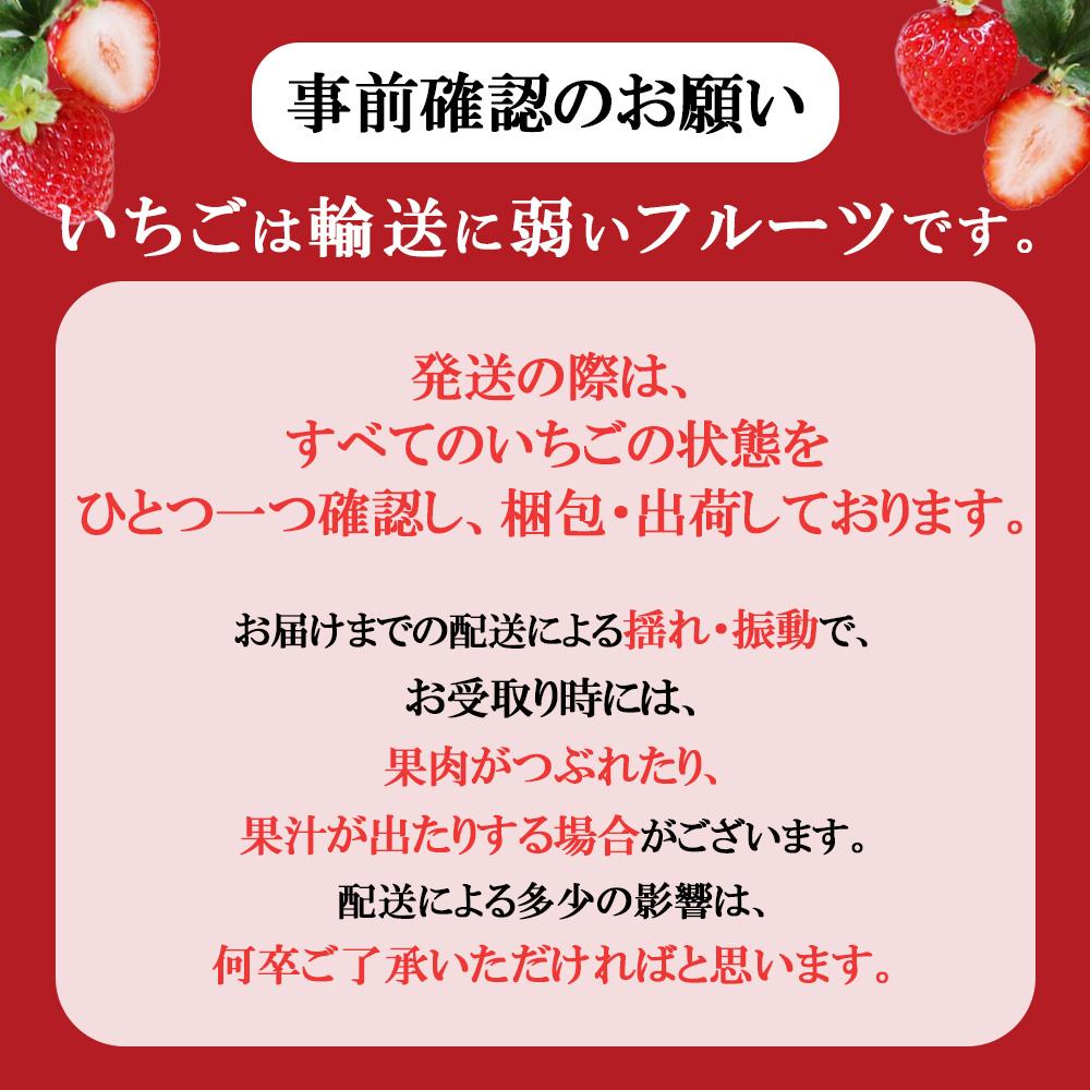 [3月以降発送] [期間限定] 栃木県産 いちご ロイヤルクイーン12～15粒 先行予約 選べる発送月｜栃木県産 矢板市産 フルーツ スイーツ デザート 果物 果実 産地直送 栃木県 矢板市  【3月以降発送】単品 |  14,000円