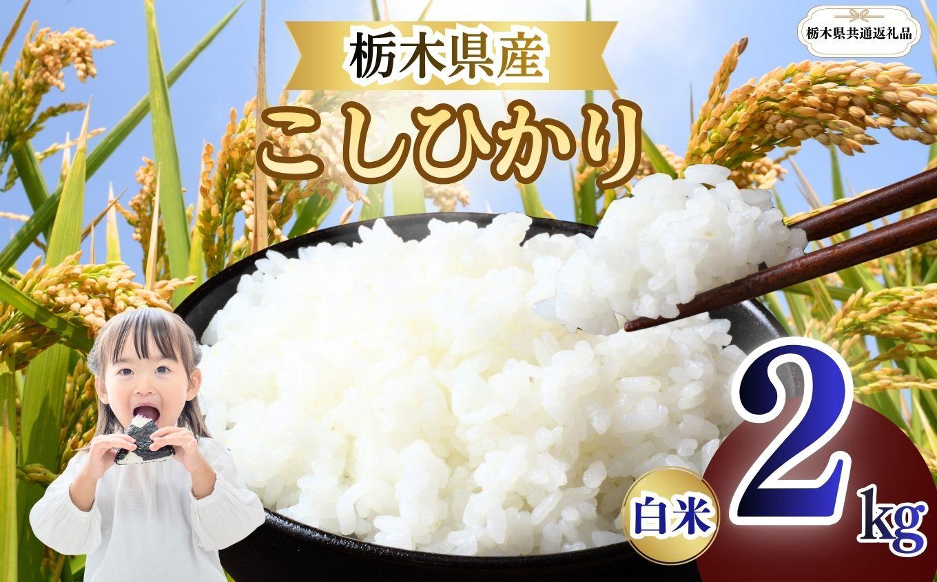 こしひかり 精米 2kg  | 栃木県 矢板市