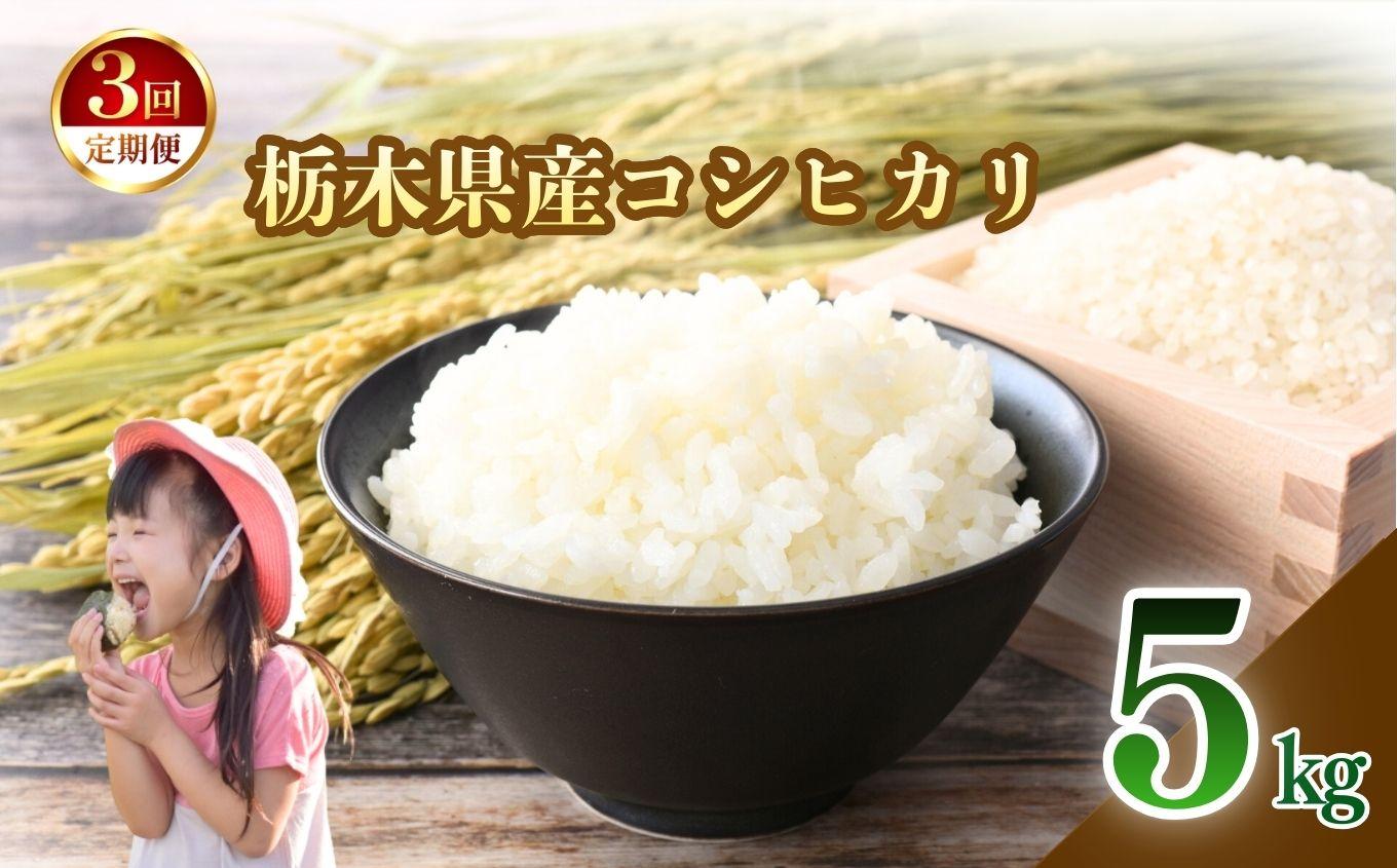 【定期便3回】栃木県産 こしひかり 白米 5kg | お米 米 こめ 白米  コシヒカリ こしひかり 美味しい お弁当 選べる ふるさと 納税 栃木県 矢板市 5kg | 定期便3回| 42,000円