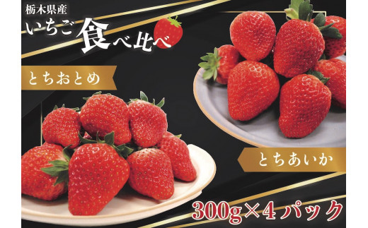 [先行予約][2026年12月中旬より順次発送予定・歴代王者と期待の新人] とちおとめ×とちあいか食べ比べセット1200g｜いちご イチゴ 苺 フルーツ 果物 産地直送 栃木県産 矢板市産 先行予約 栃木県 矢板市