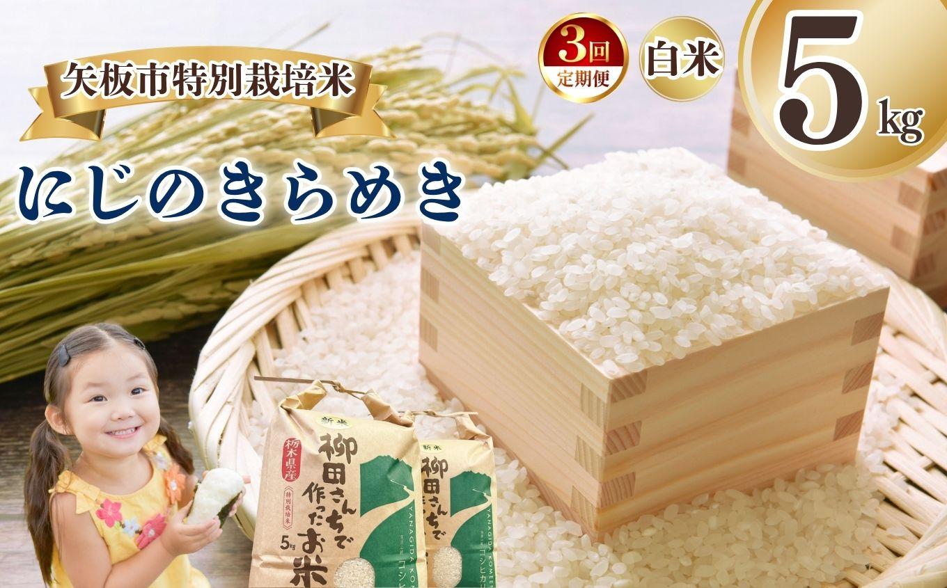 [定期便3回]矢板市特別栽培米 にじのきらめき 白米 5kg | お米 米 こめ 白米 玄米 にじのきらめき コシヒカリ こしひかり 美味しい お弁当 選べる エコ スマート 環境 手間暇 土づくり  ふるさと 納税 栃木県 矢板市 [定期便3回]白米 5kg