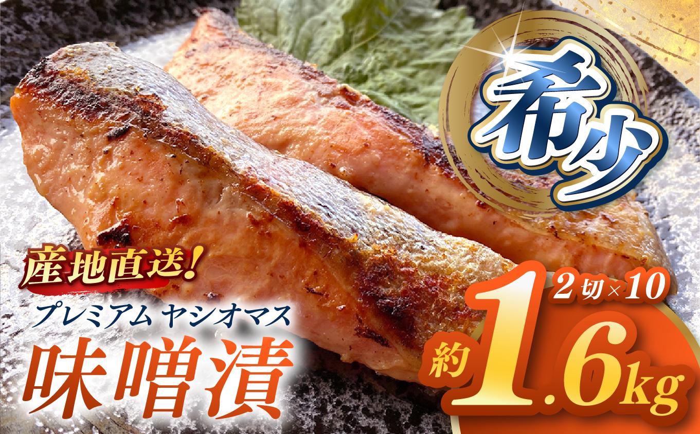 「プレミアムヤシオマス」の味噌漬 2切入×10パック  [ 冷凍便 ] | 魚 ます 養殖 産地直送 栃木県 【単品】味噌漬 2切入×10P