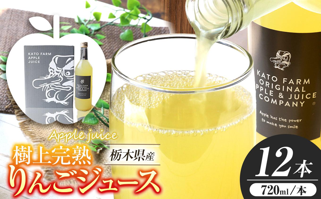 栃木県矢板市産 樹上完熟100％りんごジュース 720ml×12本入  | 林檎 リンゴ 果汁100% 産地直送   【単品】 720ml×12本入
