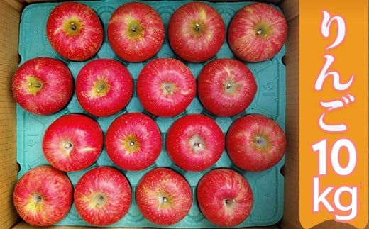 【11月下旬より順次お届け】[数量限定] 矢板市産完熟りんご ふじ 10kg箱｜リンゴ 林檎 フルーツ 果実 果物 スイーツ 産地直送 栃木県産 国産 先行予約 