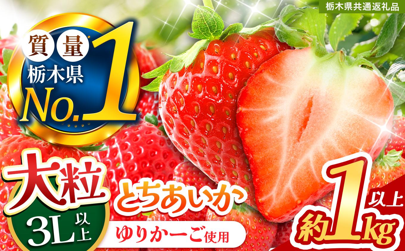 とちあいか３L以上ホール詰め 1kg以上 | いちご とちあいか 大粒 新鮮 甘い 数量 限定 美味しい 果物 共通返礼品 フルーツ デザート 栃木県 送料無料 とちあいか 1kg以上