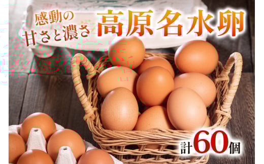 高原名水卵 60個 豊かな自然で育ったアスタキサンチン含有の高原名水卵【感動の甘さと濃さ】｜こだわり卵 たまご タマゴ 玉子 生卵 鶏卵 高原養鶏場 矢板市産 