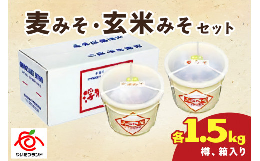 麦みそ・玄米みそセット(各1.5kg樽、箱入り)｜味噌 調味料 産地直送 グルメ ギフト  
