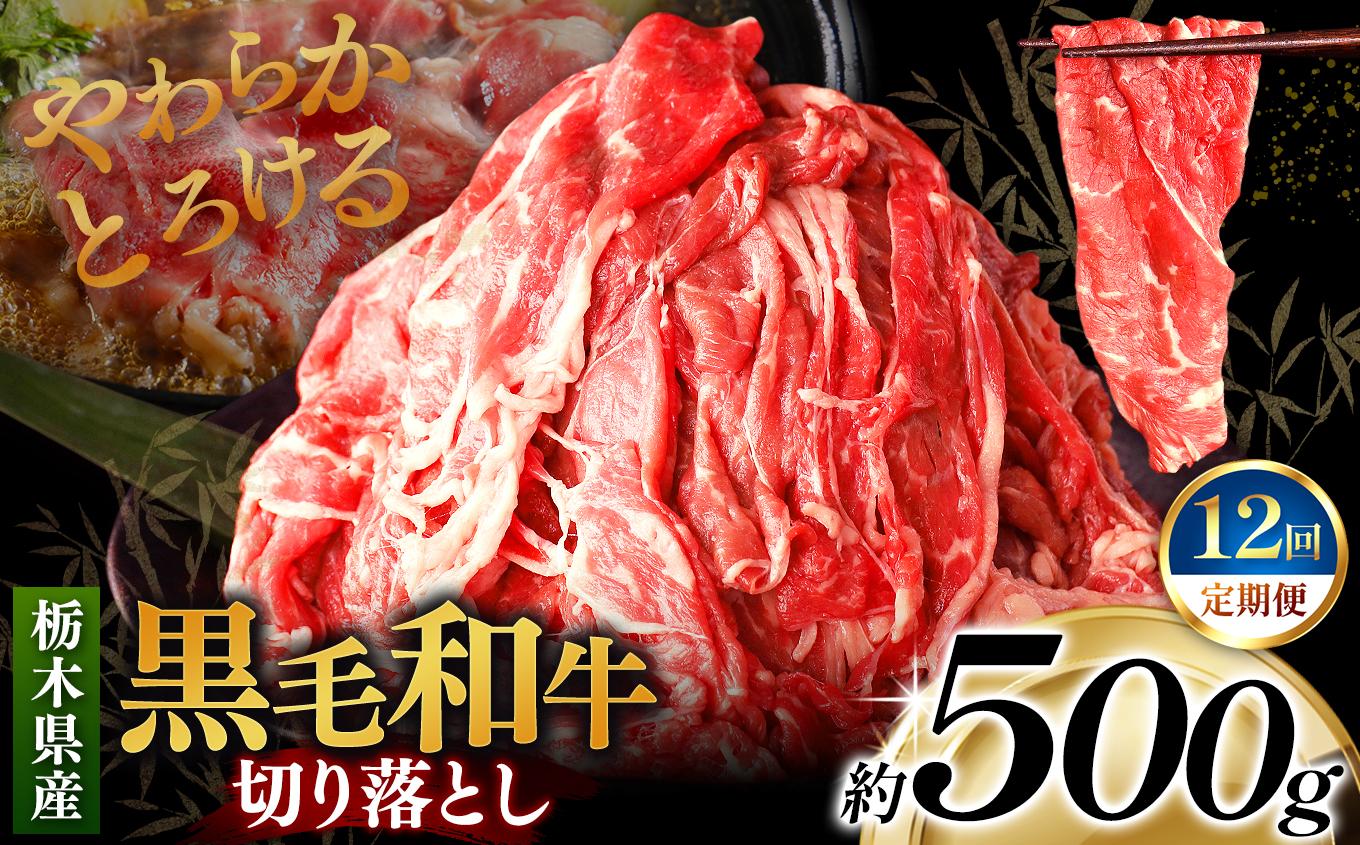 [定期便12回]栃木県産黒毛和牛切り落とし 500g｜数量限定 黒毛 和牛 牛肉 国産牛 国産 ブランド牛 お肉 切り落とし サシ 霜降り 甘い ステーキ すき焼き しゃぶしゃぶ 焼肉 切落し 上品 アレンジ 美味しい 料理 主婦 とちぎ  栃木県 矢板市 [定期便12回] 500g