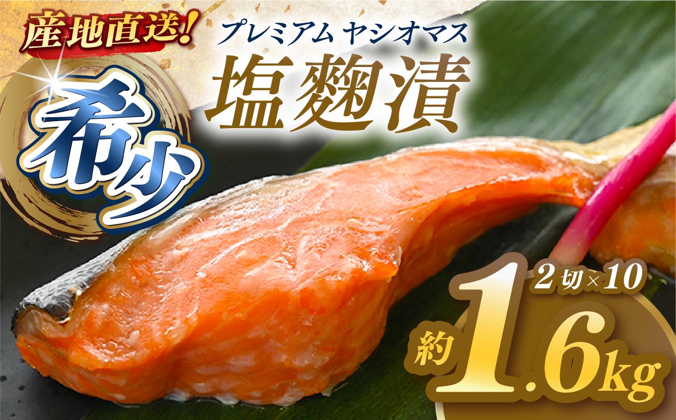 「プレミアムヤシオマス」の塩麹漬 2切入×10パック  [ 冷凍便 ] | 魚 ます 養殖 産地直送 栃木県 【単品】塩麹漬 2切入×10P