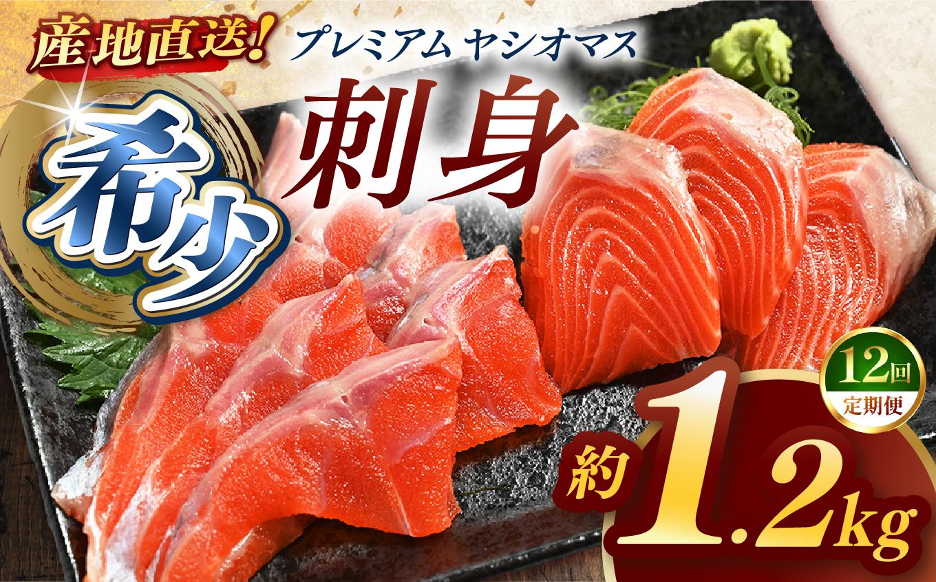 【定期便12回】産地直送栃木県のブランド魚「プレミアムヤシオマス」の刺身 1,200g (200g×6パック)   [ 冷凍便 ] | 魚 ます 養殖 産地直送 栃木県 (毎月お届け） 【定期12回】刺身 1,200g 