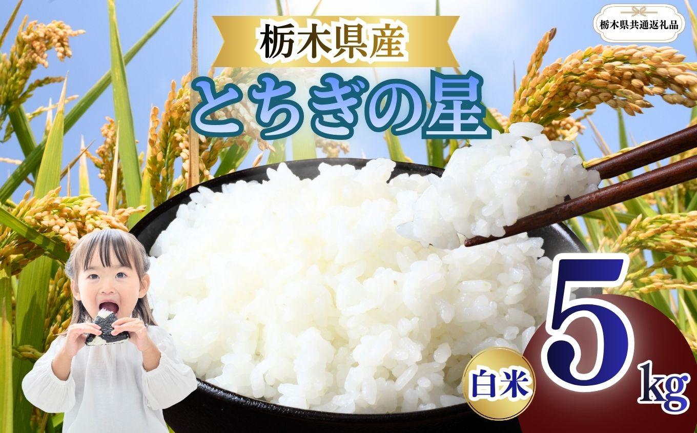 とちぎの星 精米 5kg  | お米 米 こめ 白米 コシヒカリ こしひかり とちぎの星 にじのきらめき ミルキークイーン 美味しい お弁当 選べる ふるさと 納税 栃木県 矢板市