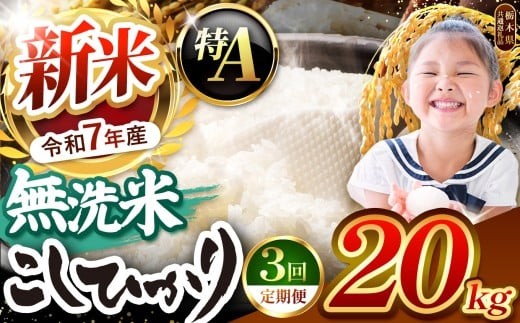 【令和7年度新米先行予約】栃木県産コシヒカリ 無洗米 20kg 定期便3回 【栃木県共通返礼品】| 定期便 お米 米 こめ 洗米 新米 無洗米 コシヒカリ こしひかり 美味しい お弁当 選べる ふるさと 納税 栃木県 矢板市 20kg | 【定期便3回】 