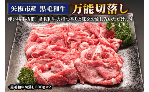 矢板産 黒毛和牛万能切落し《敷島ファーム》｜和牛 お肉 牛肉 産地直送 国産 グルメ 