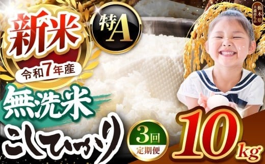 【令和7年度新米先行予約】栃木県産コシヒカリ 無洗米 10kg 定期便3回 【栃木県共通返礼品】| 定期便 お米 米 こめ 洗米 新米 無洗米 コシヒカリ こしひかり 美味しい お弁当 選べる ふるさと 納税 栃木県 矢板市 10kg | 【定期便3回】
