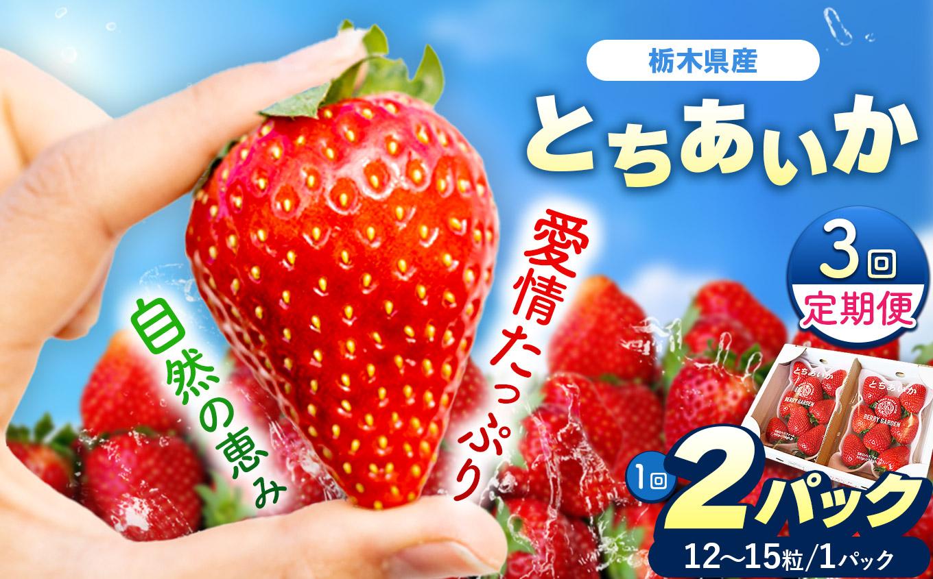 【定期便3回】栃木県産 いちご とちあいか 12～15粒 × 2P 先行予約 選べる発送月 定期便3回 (1月・2月・3月お届け）｜栃木県産 矢板市産 フルーツ スイーツ デザート 果物 果実 産地直送 栃木県 矢板市 【定期3回】| 42,000円