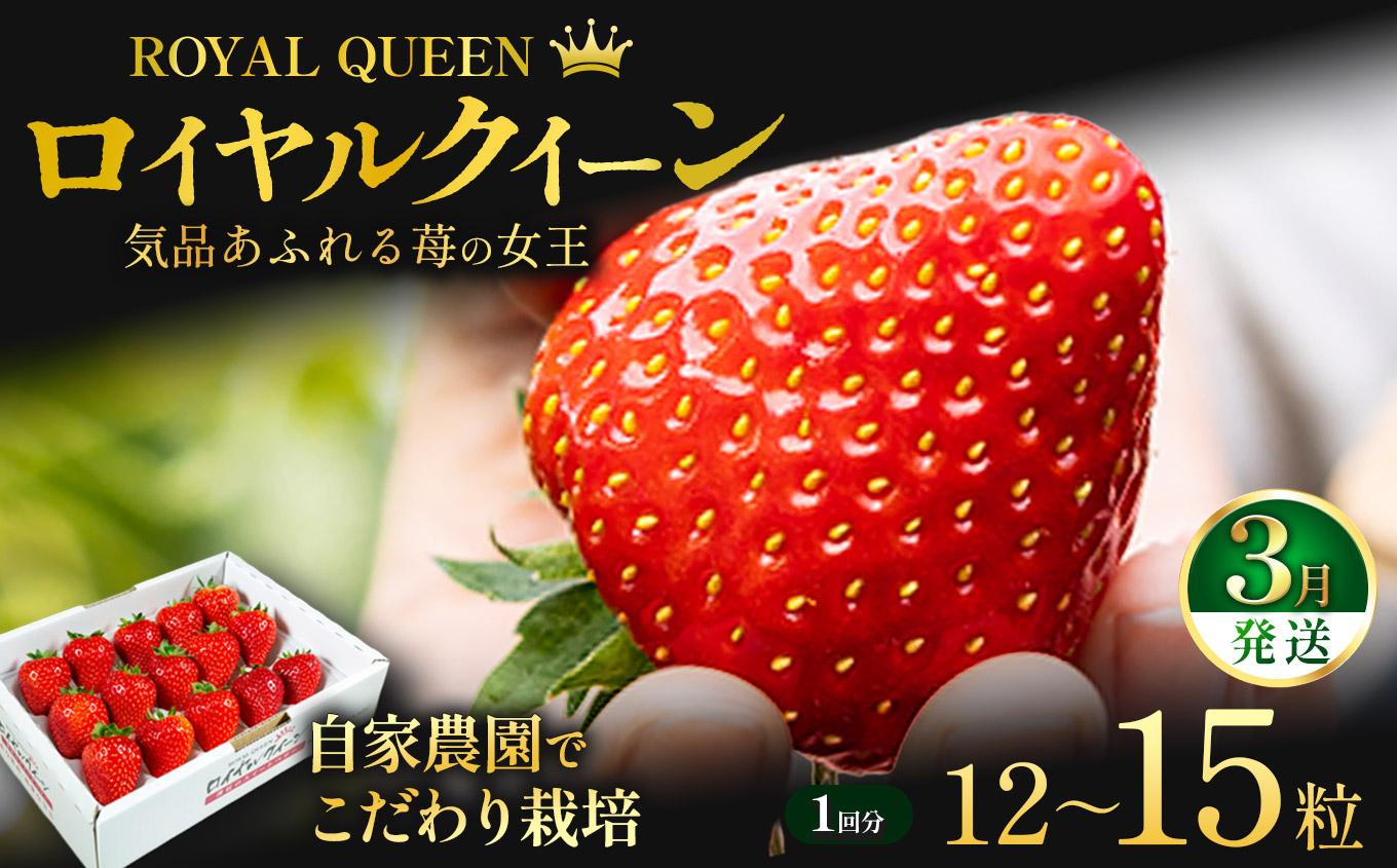 [3月以降発送] [期間限定] 栃木県産 いちご ロイヤルクイーン12～15粒 先行予約 選べる発送月｜栃木県産 矢板市産 フルーツ スイーツ デザート 果物 果実 産地直送 栃木県 矢板市  【3月以降発送】単品 |  14,000円
