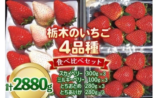 いちご4品種 食べ比べセット 2,880g （とちあいか・とちおとめ・ミルキーベリー・ スカイベリー） 《1月～4月の期間で発送》 澳原いちご農園 | いちご 苺 イチゴ フルーツ 果物 産地直送 栃木県産 【12～4月の期間発送】2,880g 