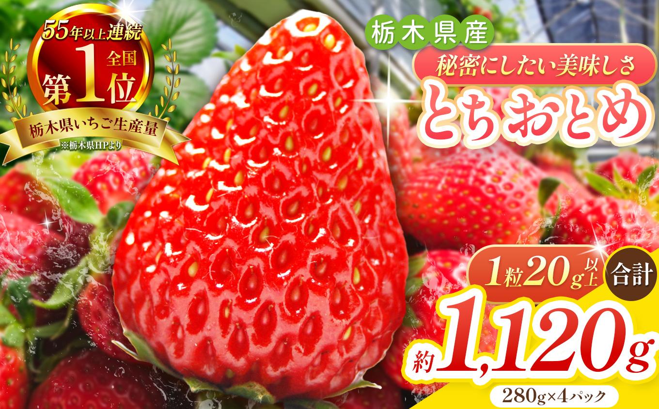 とちおとめ 1120g [2025年12月初旬より順次発送予定] 朝獲れ新鮮 秘密にしたい美味しさ｜いちご イチゴ 苺 フルーツ 果物 産地直送 先行予約 栃木県産 