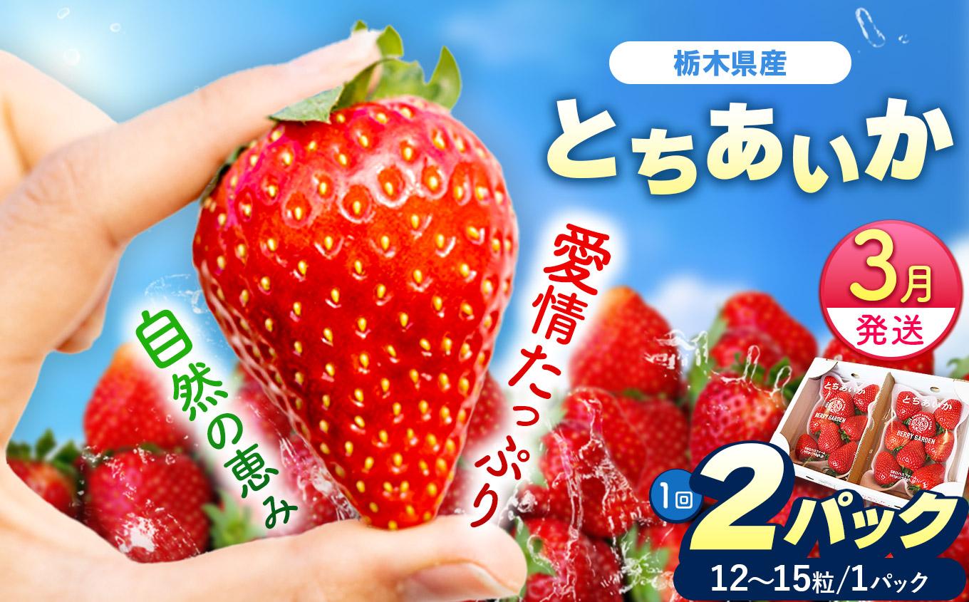[3月以降発送][期間限定] 栃木県産 いちご とちあいか 12～15粒 × 2P 先行予約 選べる発送月 定期便3回｜栃木県産 矢板市産 フルーツ スイーツ デザート 果物 果実 産地直送 栃木県 矢板市 【3月以降発送】単品 | 14,000円