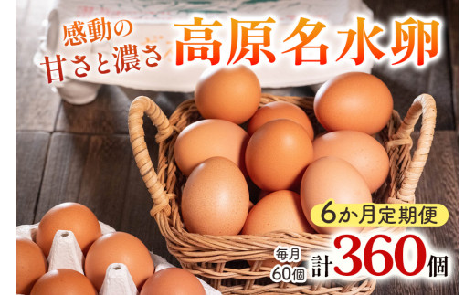 [定期便／6ヶ月] 高原名水卵 60個×6か月連続 豊かな自然で育ったアスタキサンチン含有の高原名水卵【感動の甘さと濃さ】｜こだわり卵 たまご タマゴ 玉子 生卵 鶏卵 高原養鶏場 矢板市産 